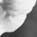 monocle